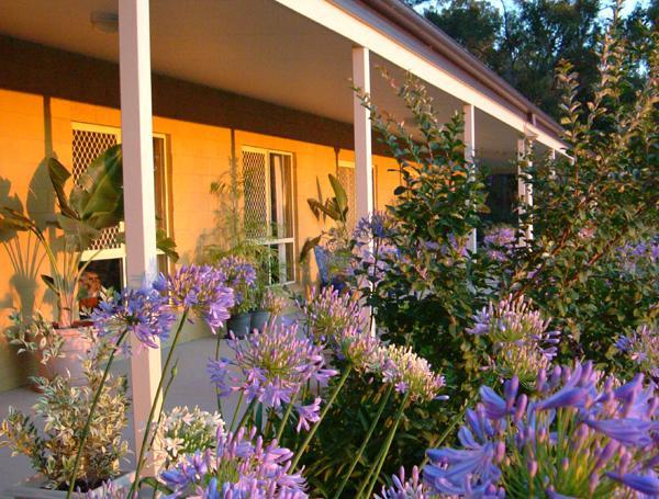 Wallaby Ridge Retreat Mount Tamborine Exteriér fotografie